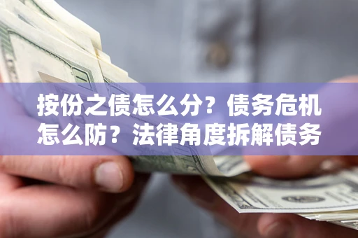 武汉按份之债怎么分？债务危机怎么防？法律角度拆解债务分配与风险自保指南