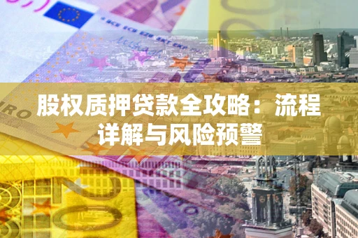 武汉股权质押贷款全攻略：流程详解与风险预警