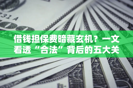武汉借钱担保费暗藏玄机？一文看透“合法”背后的五大关键陷阱