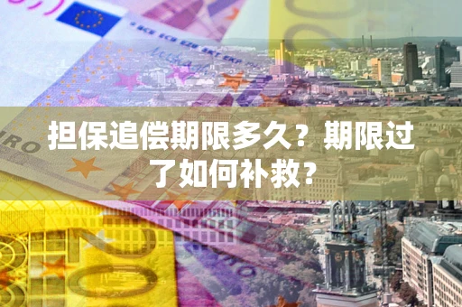 武汉担保追偿期限多久？期限过了如何补救？