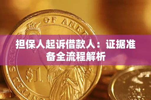 武汉担保人起诉借款人：证据准备全流程解析