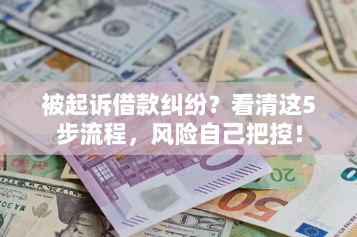 武汉被起诉借款纠纷？看清这5步流程，风险自己把控！