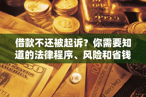 武汉借款不还被起诉？你需要知道的法律程序、风险和省钱技巧