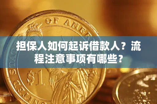 武汉担保人如何起诉借款人？流程注意事项有哪些？